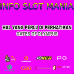 Hal Yang Paling Di Perhatikan Bermain Slot Online
